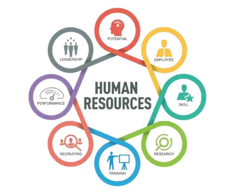 The Role of HR in Building a High-Performing Workforce | Key Strategies
